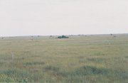 013-Everglades National Park